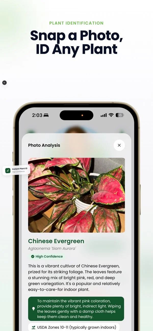 SmartPlant: Plant ID by photo
